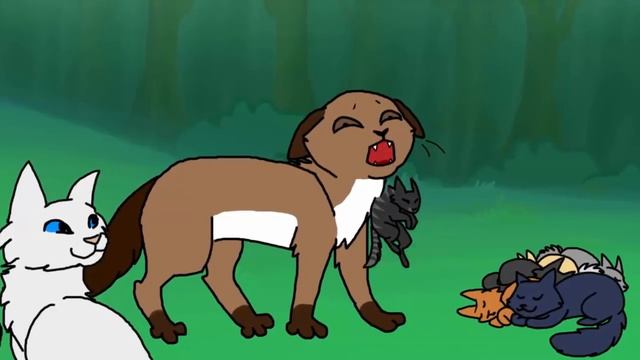 Catwar | Игра глазами новичка и опытного #1 смотреть онлайн