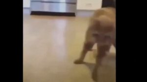 критическое повреждение двигателя...