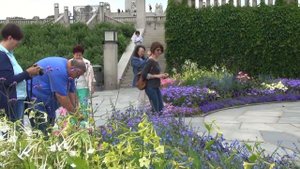 Парк скульптур Вигеланда в Осло