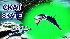 Скат green screen видео футаж. Хромакей анимация рыба Скат на зелёном экране.