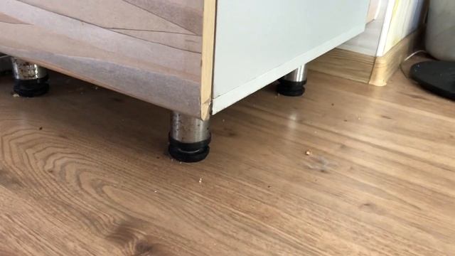 Как котенок себе кличку выбрал смотреть онлайн