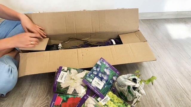 Bekker.kz Распаковка - Наш первый заказ смотреть онлайн