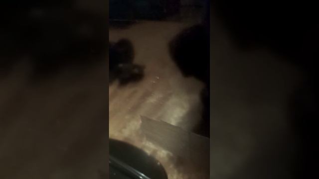 телевизор Samsung ремонт экрана от квартирантов смотреть онлайн