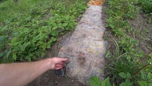 Садовые ДОРОЖКИ между грядок из ковров и пленки.