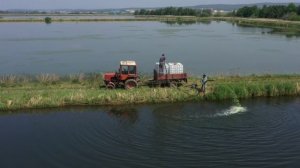 Нижне-Обский филиал Главрыбвода приступил к испытаниям по применению планктонного штамма Хлорелла