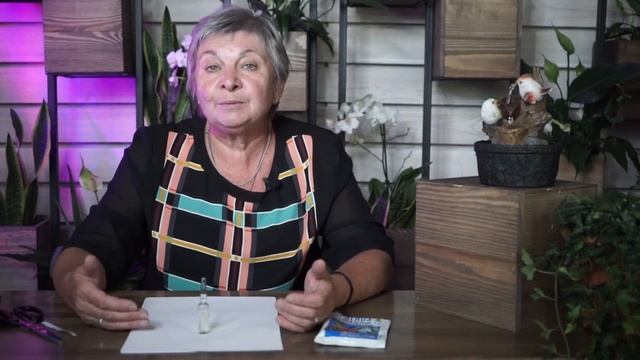 Препарат Прогноз ✔️ Лечение Заболеваний Растений ✔️ Инструкция к Применению