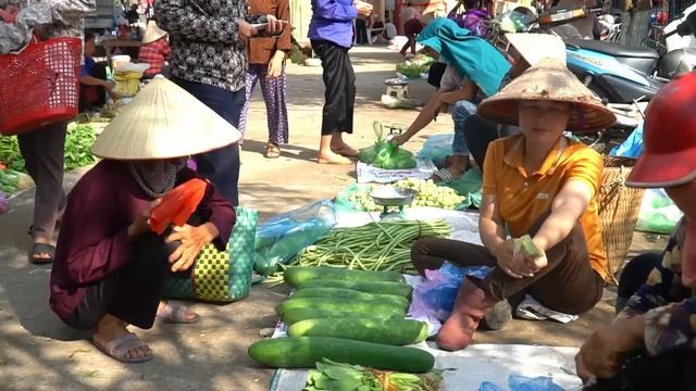 Harvesting SQUASH and BEANS - Go to the market to sell - Help the elderly | Harvest Life смотреть онлайн
