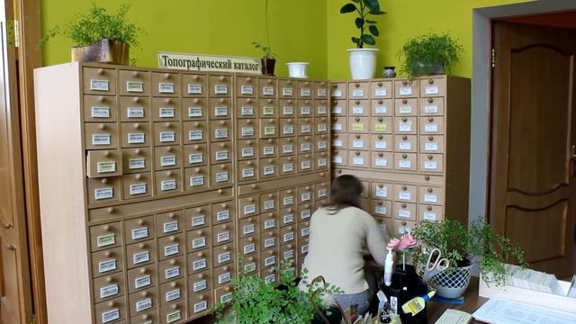 Смеяться разрешается!