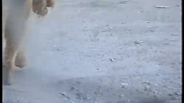 Кадры не попавшие в 