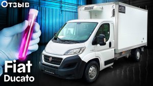 Отзыв - рефрижератор FIAT DUCATO для перевозки фармацевтики - Автоцентр Сухина.