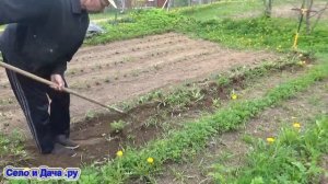 Ручной культиватор Торнадо и прополка им сорняков.