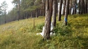 Беседка Сталина