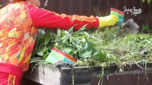 Ускоритель компоста - Доктор Робик 209