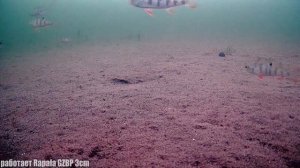 Этот балансир косит окуня!!! Зимняя рыбалка + Подводная съёмка