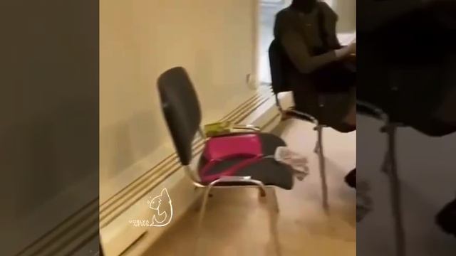 Жители Финляндии, Люксембурга, Дании приходят погреться в представительства Россотрудничества