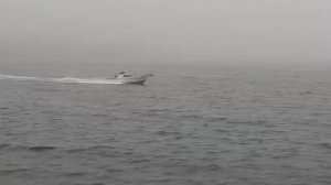 Японский катер Yamaha ydx-33