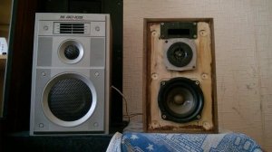 10ГДВ-2 против 6ГДВ 6М-16. Замена ВЧ динамика на лавсановый. ВЕГА 15АС-109