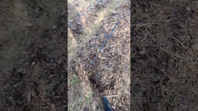 Дешевая мульча для голубики. И как подкислить голубику смотреть онлайн