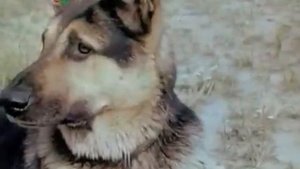 Мы с Вулканом