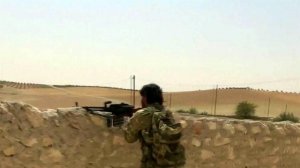 Почти полтора десятка населенных пунктов в Сирии присоединились к режиму прекращения огня