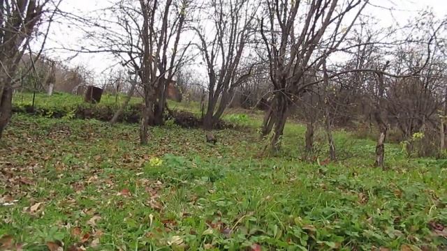 Душа моя тобой полна... смотреть онлайн