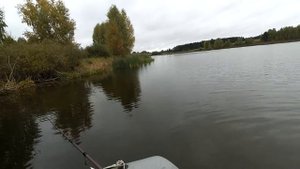 DRAGA 130SP  классика осени .