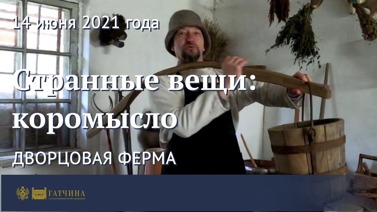 Странные вещи: коромысло