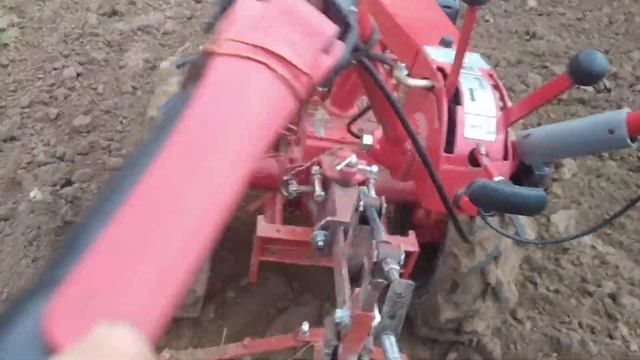 Боронование картофеля мотоблоком Мтз 09Н-02. Могилев 2021. смотреть онлайн
