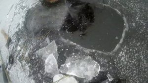 ПРОВЕРКА СЕТЕЙ ПО ПЕРВОМУ ЛЬДУ / ЛОВЛЯ КРУПНОЙ РЯПУШКИ ЗИМОЙ / ПРОВЕРКА САМОЛОВОК