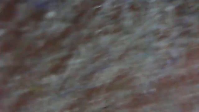 Смотрим, как выглядит Пыль под микроскопом смотреть онлайн