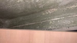 Стеклопластиковая ниша для автодома