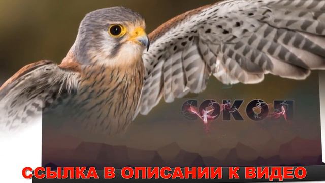 💣 Работа в интернете 40 👍 Разовая удаленная работа смотреть онлайн