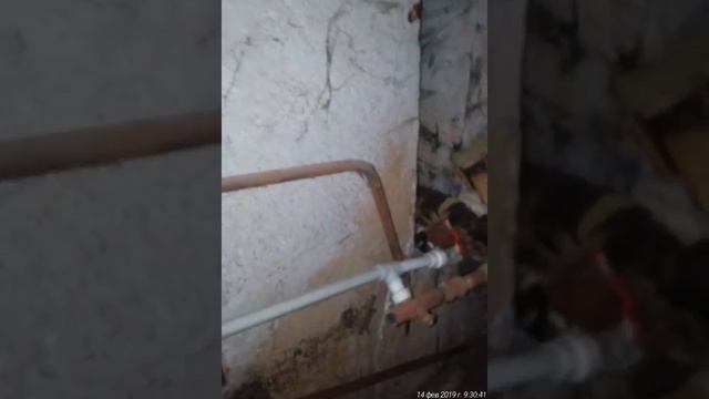 ОЧЕРЕДНОЕ САМОУПРАВСТВО, #БЕСПРЕДЕЛ ПРЕДСЕДАТЕЛЯ ТСЖ МОКРУШИНА 20, АЛЁШЕНЬКИНОЙ Л.Г.
