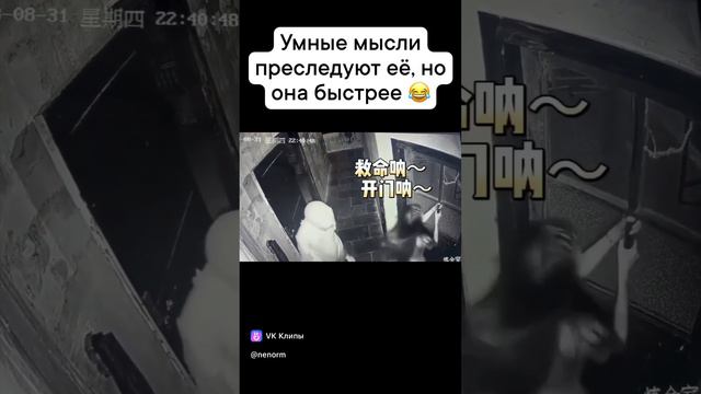 1000281201.mp4