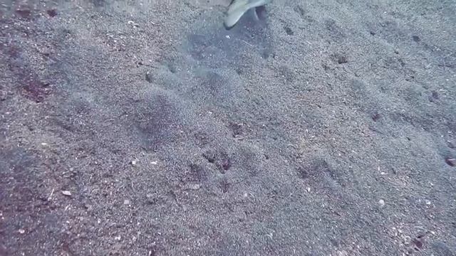 САКСОФОН Царская музыка для медитации и отдыха смотреть онлайн