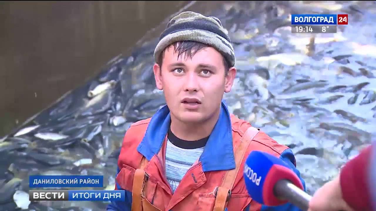 Рыбоводческие хозяйства Волгоградской области начали сезонный отлов рыбы