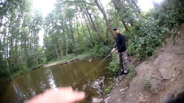 ✅ Рыбалка в Калининграде. Пруд Гагара, Собака-рыбака Керри. смотреть онлайн