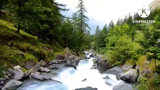 Звуки природы, пение птиц, Звуки Леса, для релаксации, сна, Медитации, Relax 90 минут смотреть онлайн