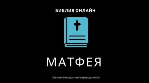 Матфея 28 глава Русский Синодальный Перевод