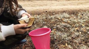 ДЕНЬ В ЛЕСУ / ГРИБЫ / ЯГОДЫ / РЫБАЛКА