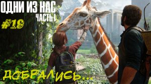 ДОБРАЛИСЬ.... ➤ The Last Of Us Part 1 Прохождение #19