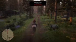 Есть в графском парке Чёрный пруд, там лилии цветут