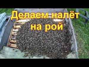 Делаем налёт на рой