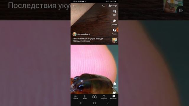 Доктор лапочка Смотрит Видео про укусов животных насекомых и птицы и полезные советы смотреть онлайн