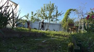 АРКА ДЛЯ ПЛЕТИСТЫХ СВОИМИ РУКАМИ. ДЁШЕВО, ПРАКТИЧНО И КРАСИВО. ДЕРЕВЕНСКАЯ ЖИЗНЬ.