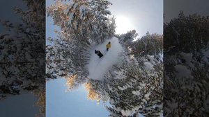 Прогулки с insta360 one x