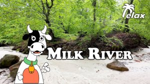 Milk River in Mountain Forest after Spring Rain