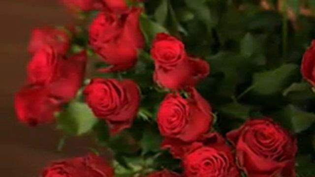 Звуки природы, Лесной ручей, Журчание воды для расслабления, глубокого сна, Красивое Релакс видео смотреть онлайн