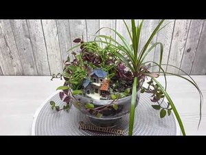 Композиция из комнатных цветов в стекле