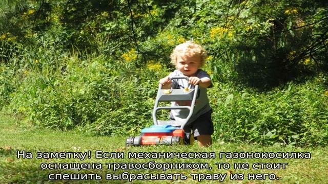 Механическая газонокосилка